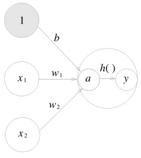 activation function